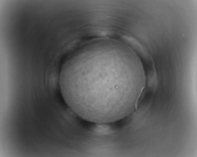 X0000092080376200709262109