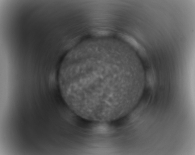 X0000092080377200709262109