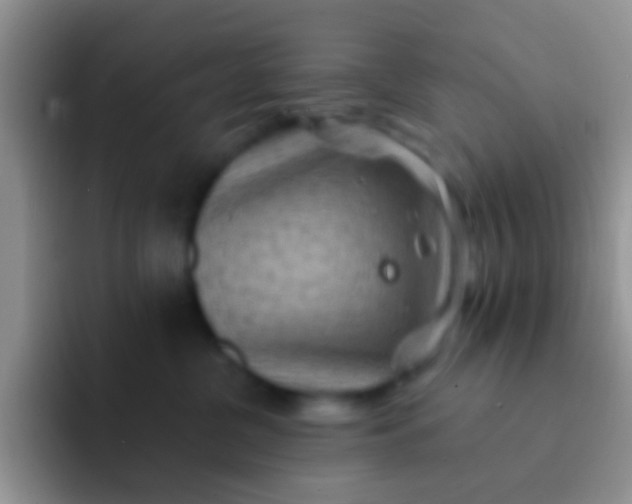 X0000092080380200709262109