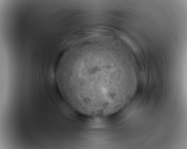 X0000092080381200709262109