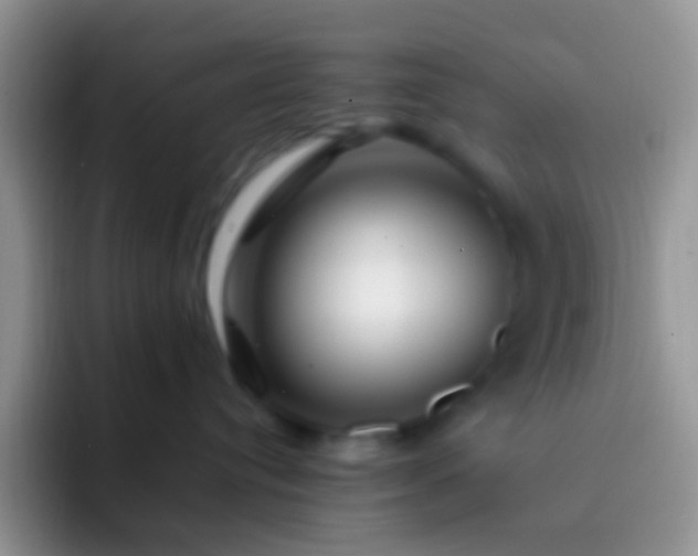 X0000092080384200709262109