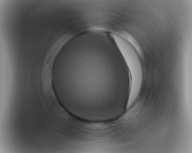 X0000092080385200709262108