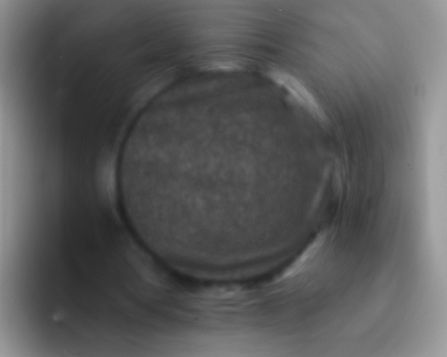 X0000092080386200709262108