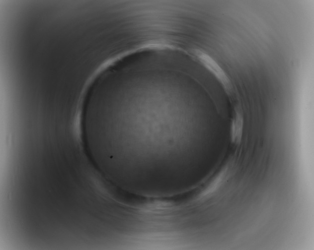 X0000092080387200709262108