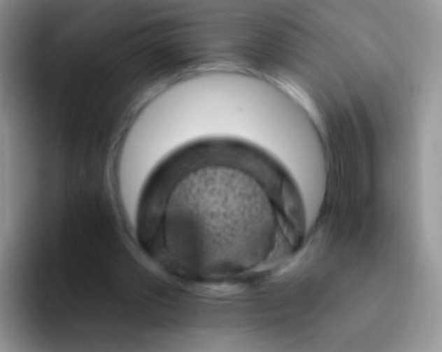 X0000092080389200709262108