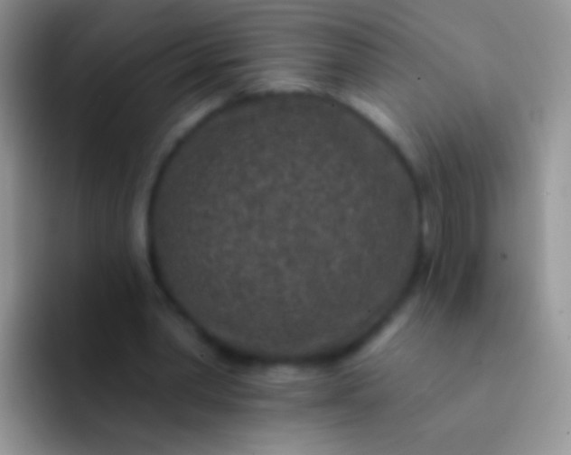 X0000092080390200709262108