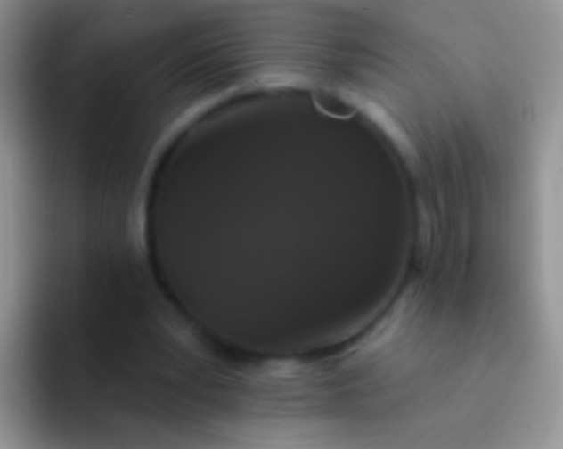 X0000092080391200709262108