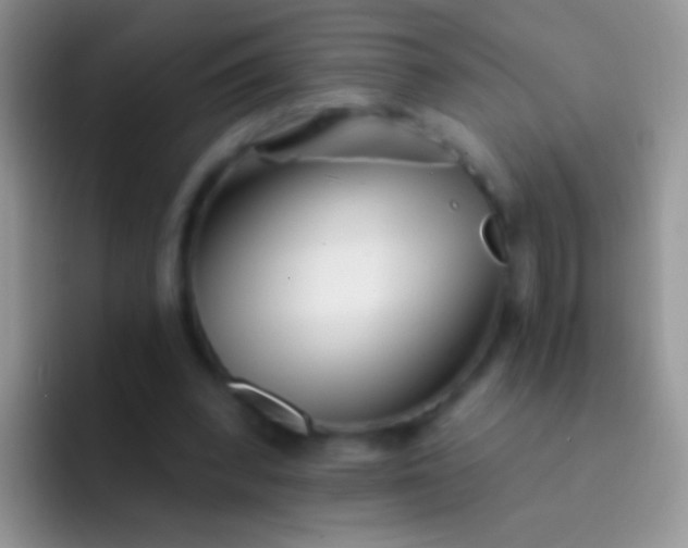 X0000092080392200709262108