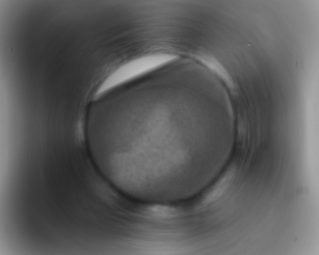 X0000092080393200709262108