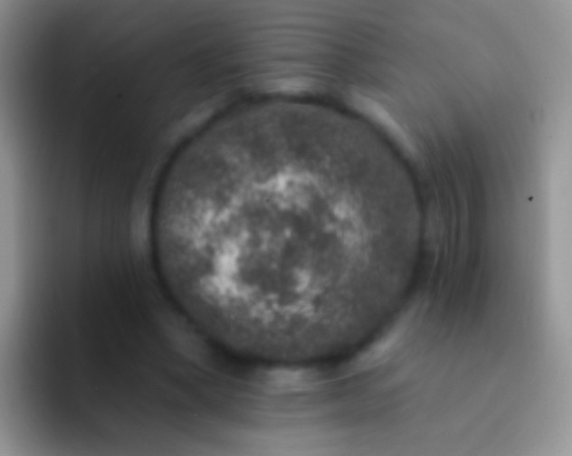 X0000092080394200709262108