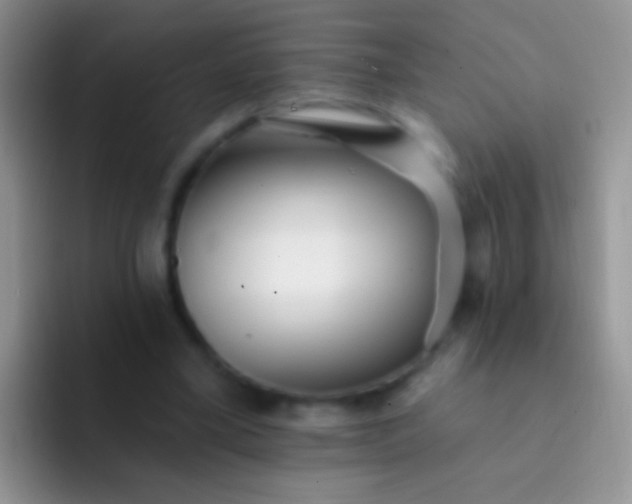 X0000092080395200709262108