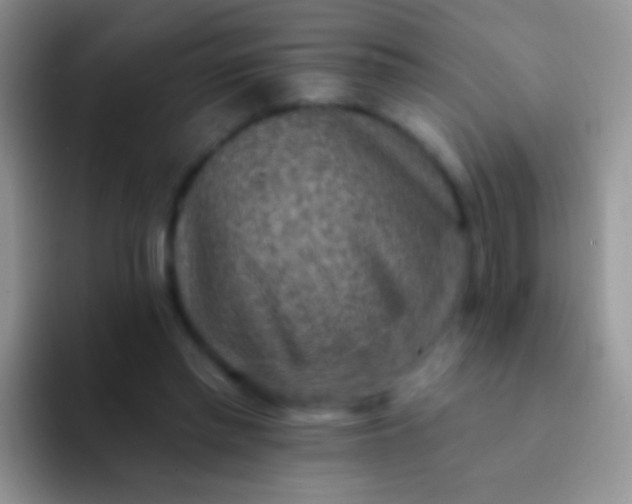 X0000092080397200709262108