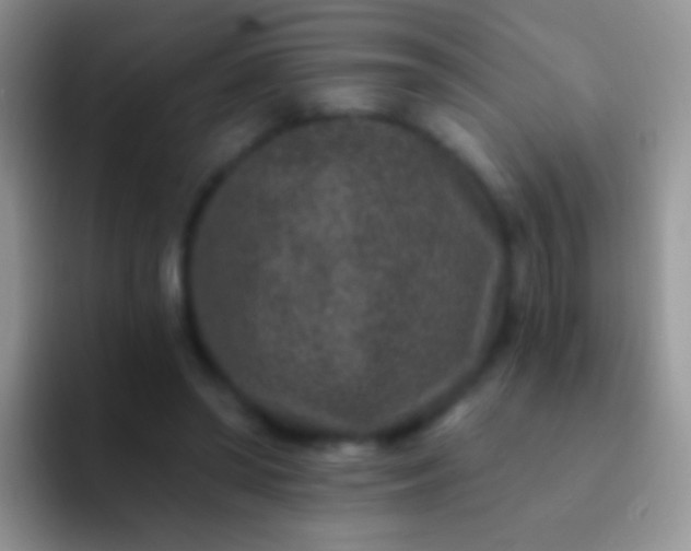 X0000092080398200709262108