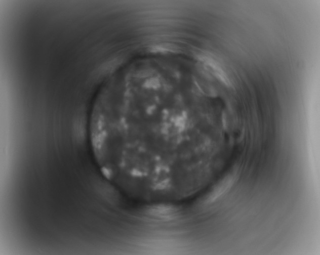 X0000092080402200709262108