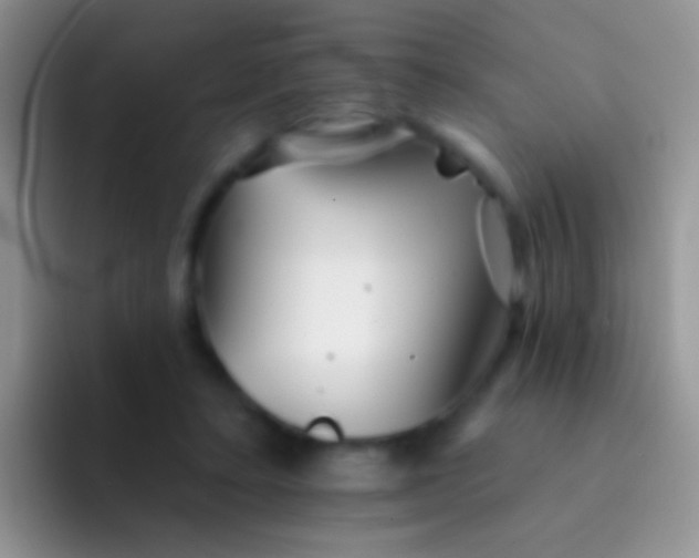 X0000092080403200709262108