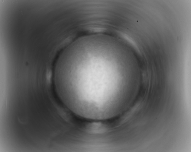 X0000092080406200709262108