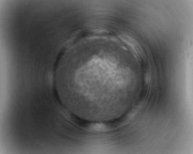 X0000092080409200709262108