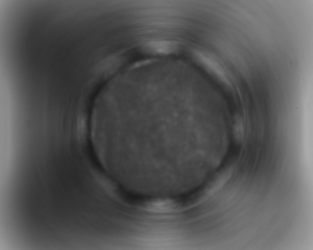 X0000092080410200709262108