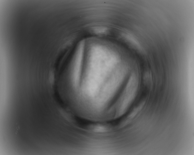 X0000092080412200709262108