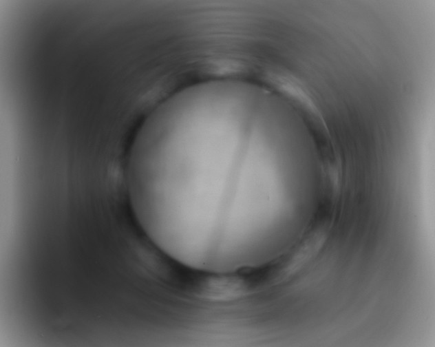 X0000092080415200709262108