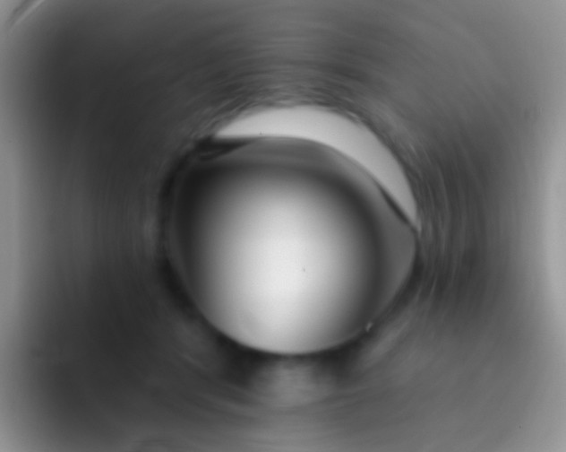 X0000092080416200709262108