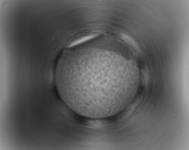 X0000092080417200709262108