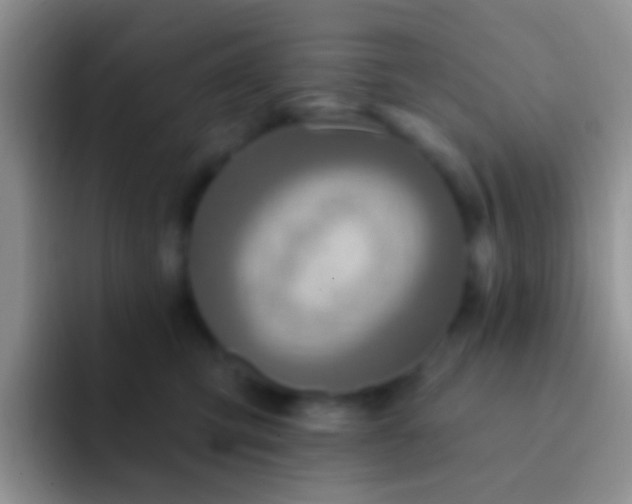 X0000092080423200709262108