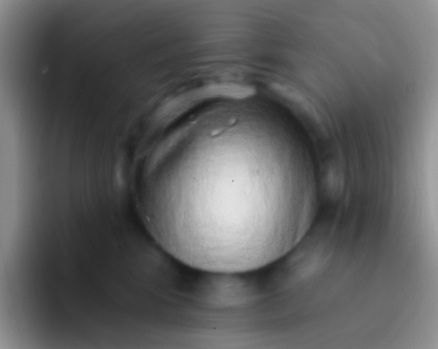 X0000092080424200709262108