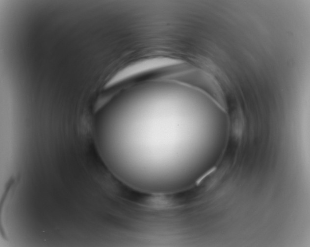 X0000092080425200709262108