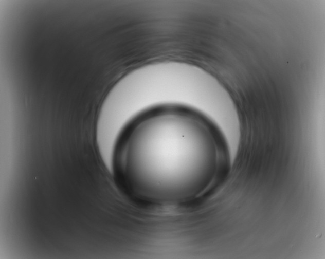 X0000092080428200709262108