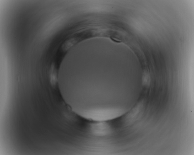 X0000092080431200709262108