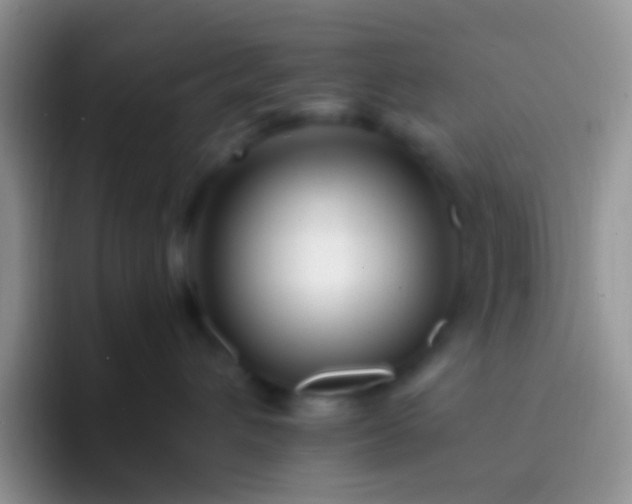 X0000092080432200709262108