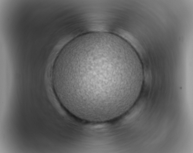 X0000092080433200709262107