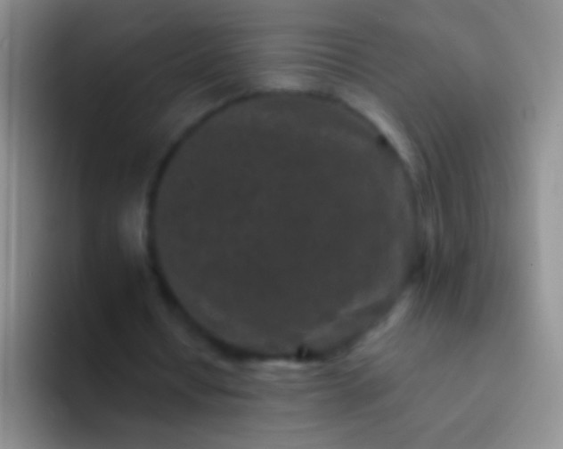 X0000092080434200709262107