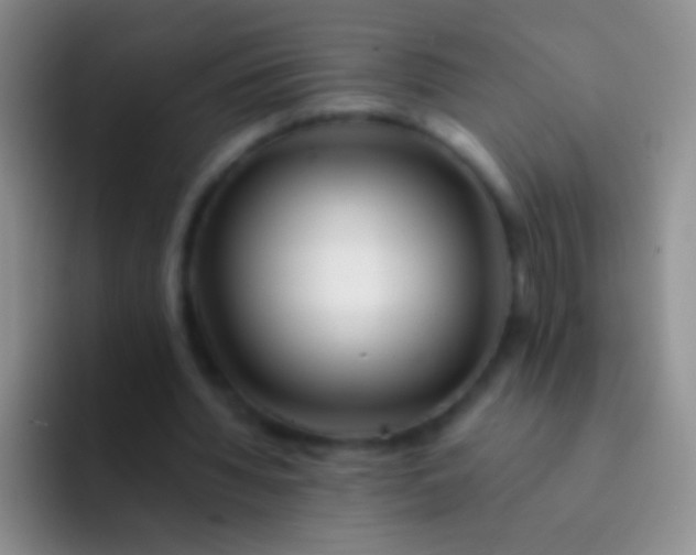 X0000092080436200709262107