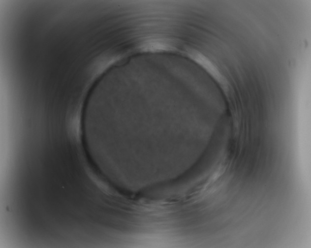 X0000092080438200709262107