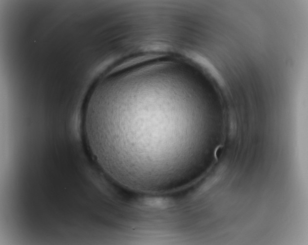 X0000092080439200709262107