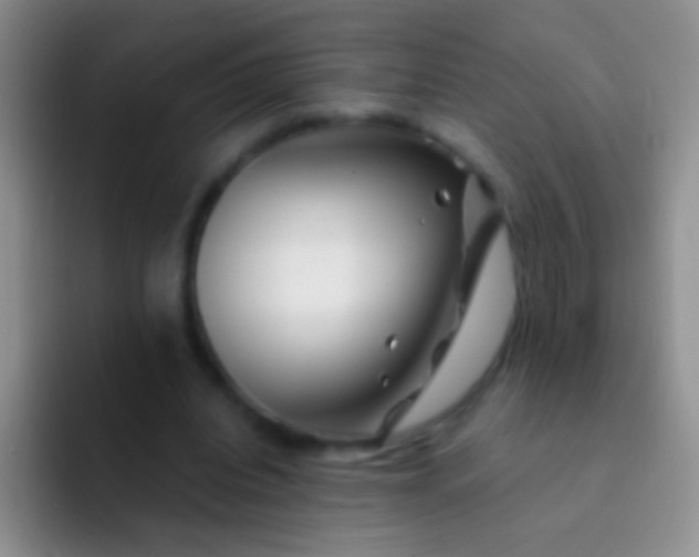 X0000092080440200709262107