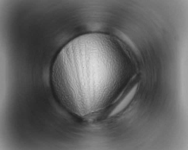 X0000092080442200709262107