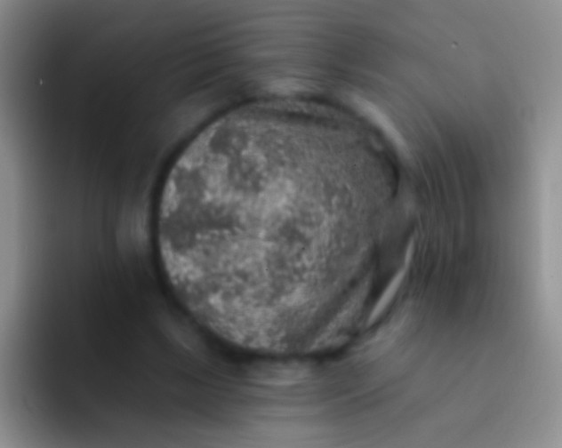 X0000092080443200709262107