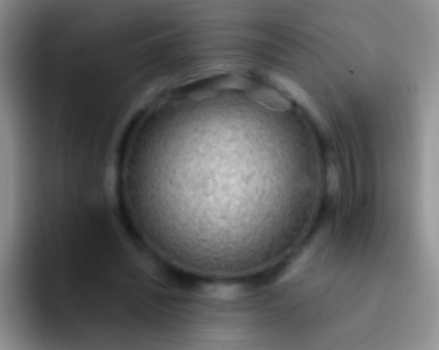 X0000092080444200709262107