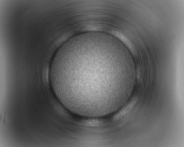 X0000092080445200709262107