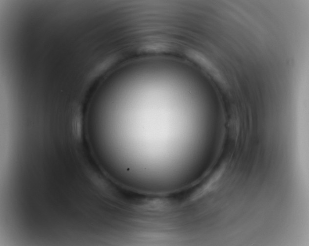 X0000092080446200709262107