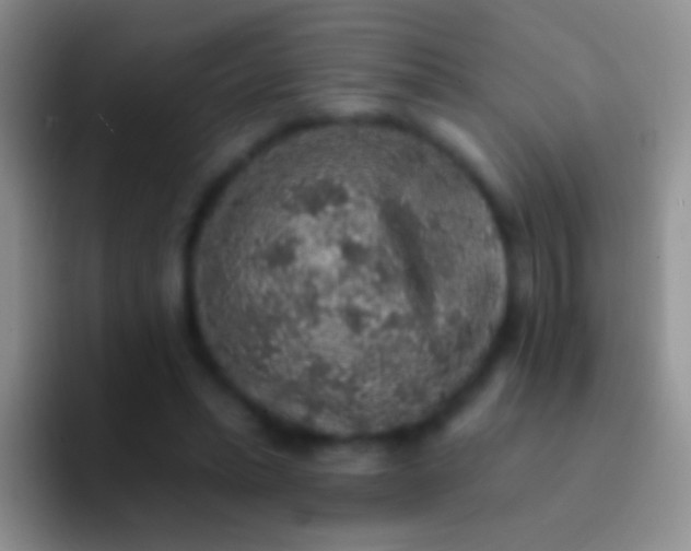 X0000092080447200709262107