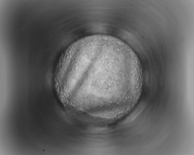 X0000092080449200709262107