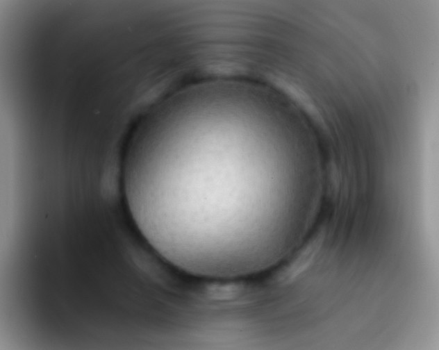 X0000092080450200709262107