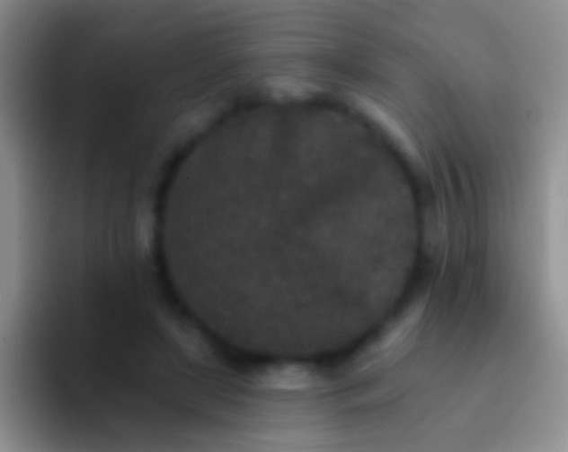 X0000092080451200709262107