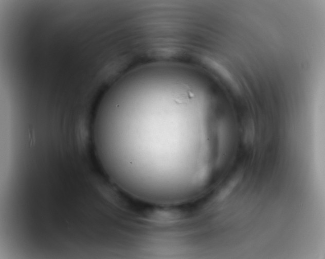 X0000092080455200709262107