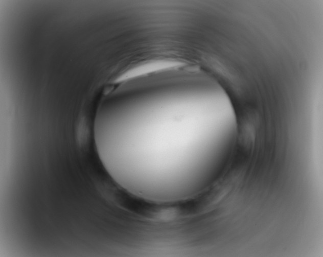 X0000092080456200709262107