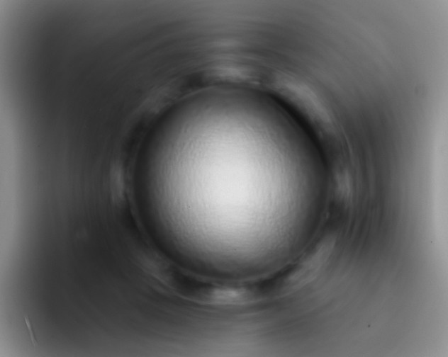 X0000092080457200709262107